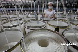 中國(guó)紡織業(yè)供應(yīng)鏈的轉(zhuǎn)型升級(jí) 從低端邁向高端